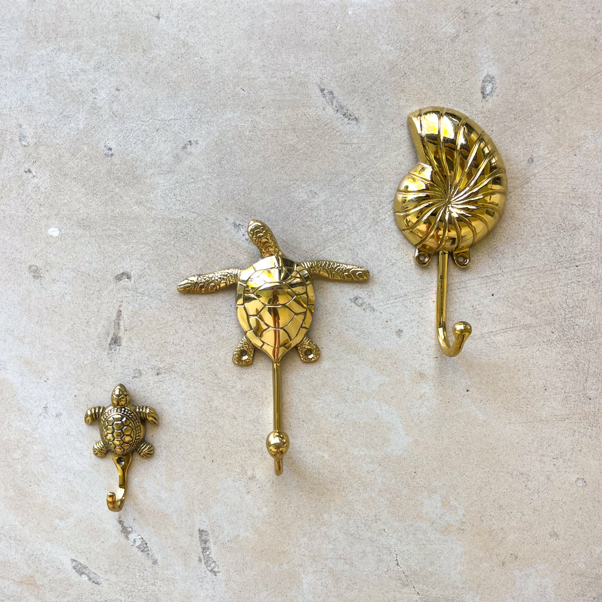 Swimming Turtle Hook